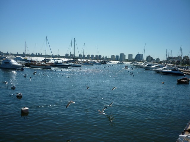 Porto de Punta del Este