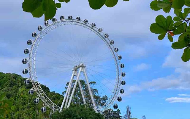 Roda Gigante De Balne Rio Cambori Tudo Sobre A Fg Big Wheel