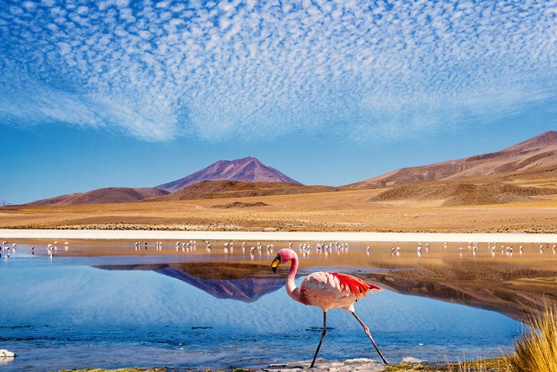 25 lugares incríveis pra viajar na América do Sul - Deserto do Atacama