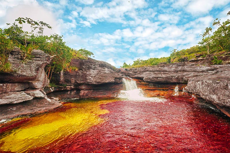 25 lugares incríveis pra viajar na América do Sul - Caño Cristales