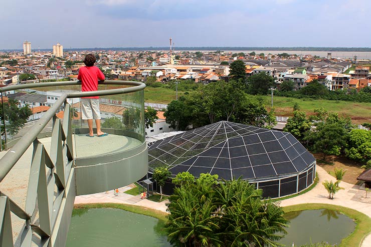 Mangal das garças - Belém - Pará, nilsonccb