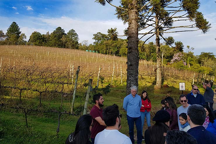 Vinícola Ravanello em Gramado: visita e degustação de vinhos