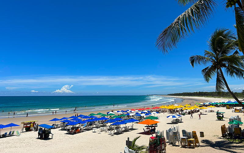 Pessoas em cadeiras e guarda-sóis na Praia do Francês, em Alagoas, em dia de sol e céu azul