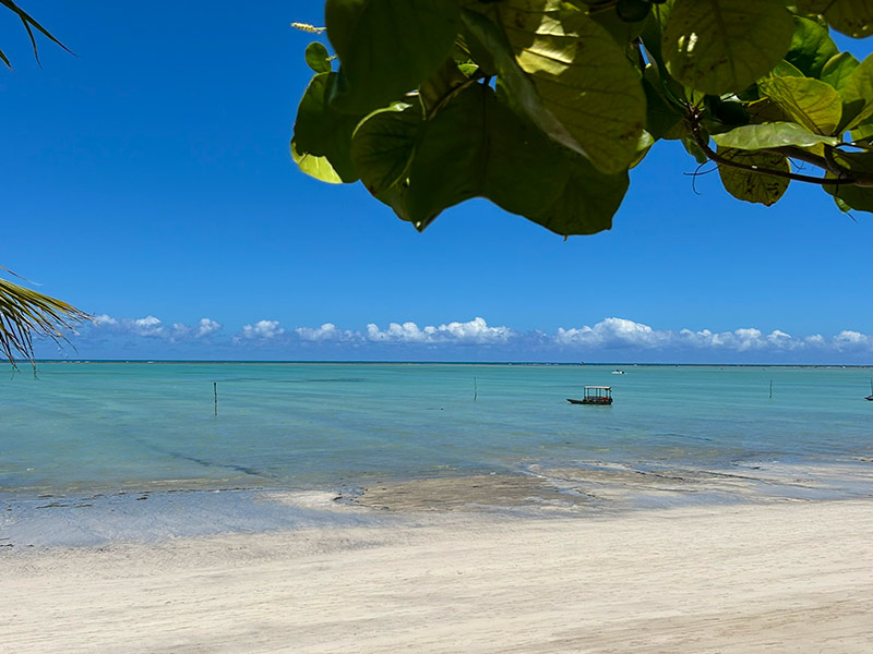 Mar vazio com barco visto da areia embaixo de árvore na Praia de Antunes