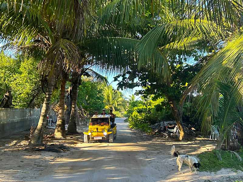 Buggy amarelo passa por estrada com árvores em Maragogi