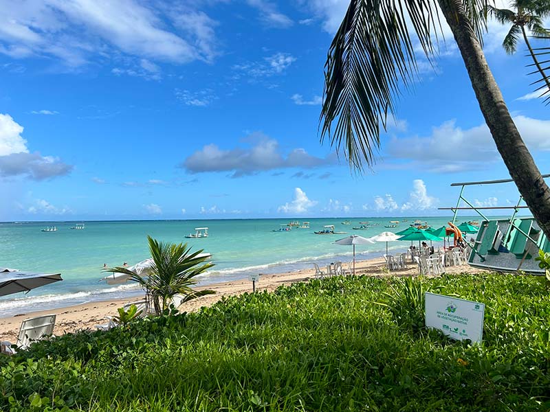 Mar claro, coqueiro e gramado na Praia de Lages, em Alagoas