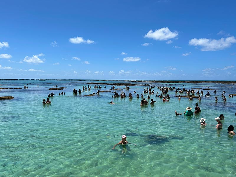 Pessoas aglomeradas nas piscinas naturais, dica de o que fazer em Maragogi