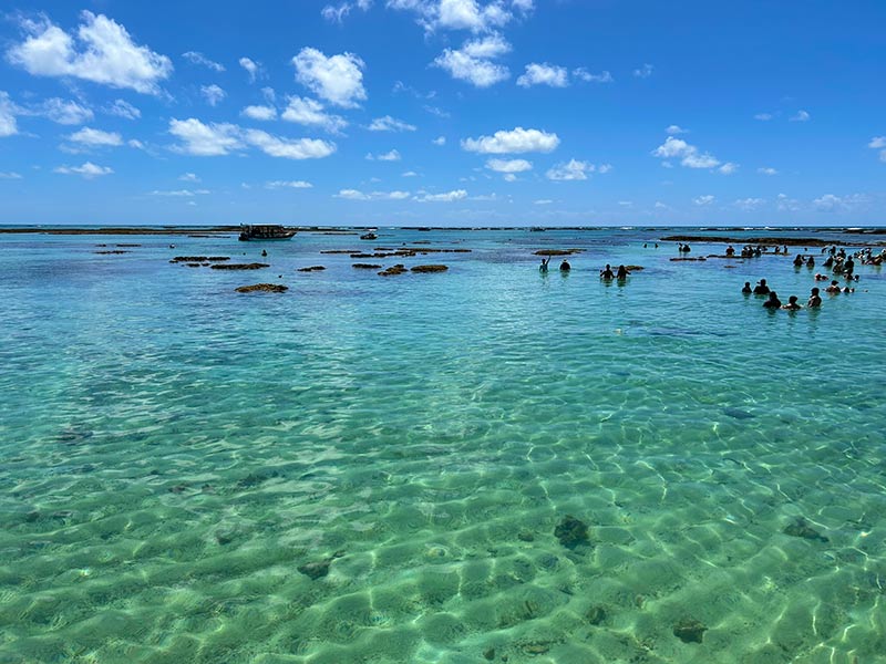 Pessoas nadam nas piscinas naturais em Alagoas em dia de céu azul