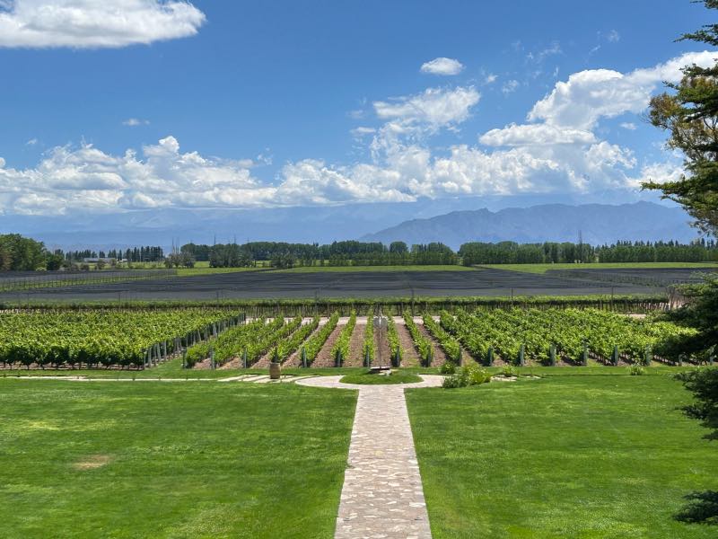 Vista do restaurante da Bodega Norton, dica de o que fazer em Mendoza