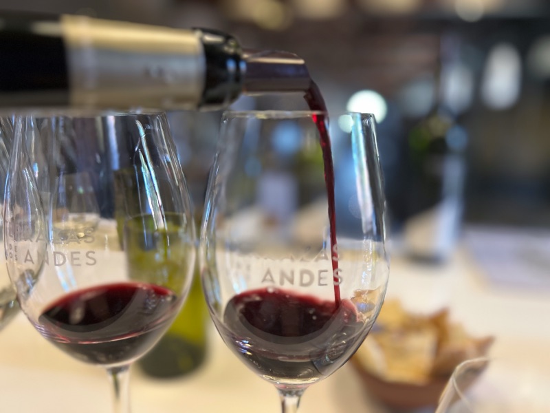 Degustação de vinhos tintos na Terrazas de los Andes, dica de o que fazer em Mendoza