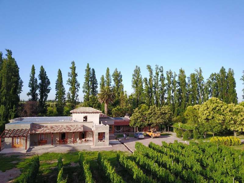 Posada Cavieres Wine Farm, dica de onde ficar em Mendoza, localizada em meio a vinhedos em dia de céu azul